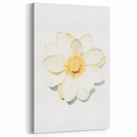 White Lotus Flower - Spring Wall Art Floral Botanical Canvas