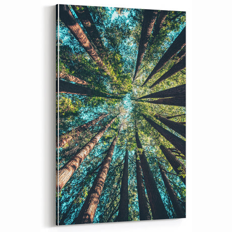 Towering Forest Trees - Spring Landscape Wall Art Botanical Decor
