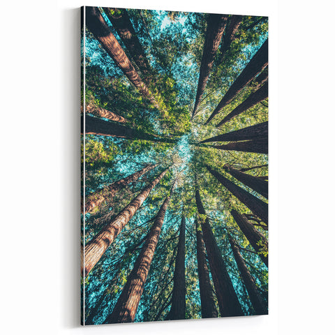 Towering Forest Trees - Spring Landscape Wall Art Botanical Decor