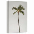Tropical Wall Art - Minimalist Palm Tree Summer Art Prints