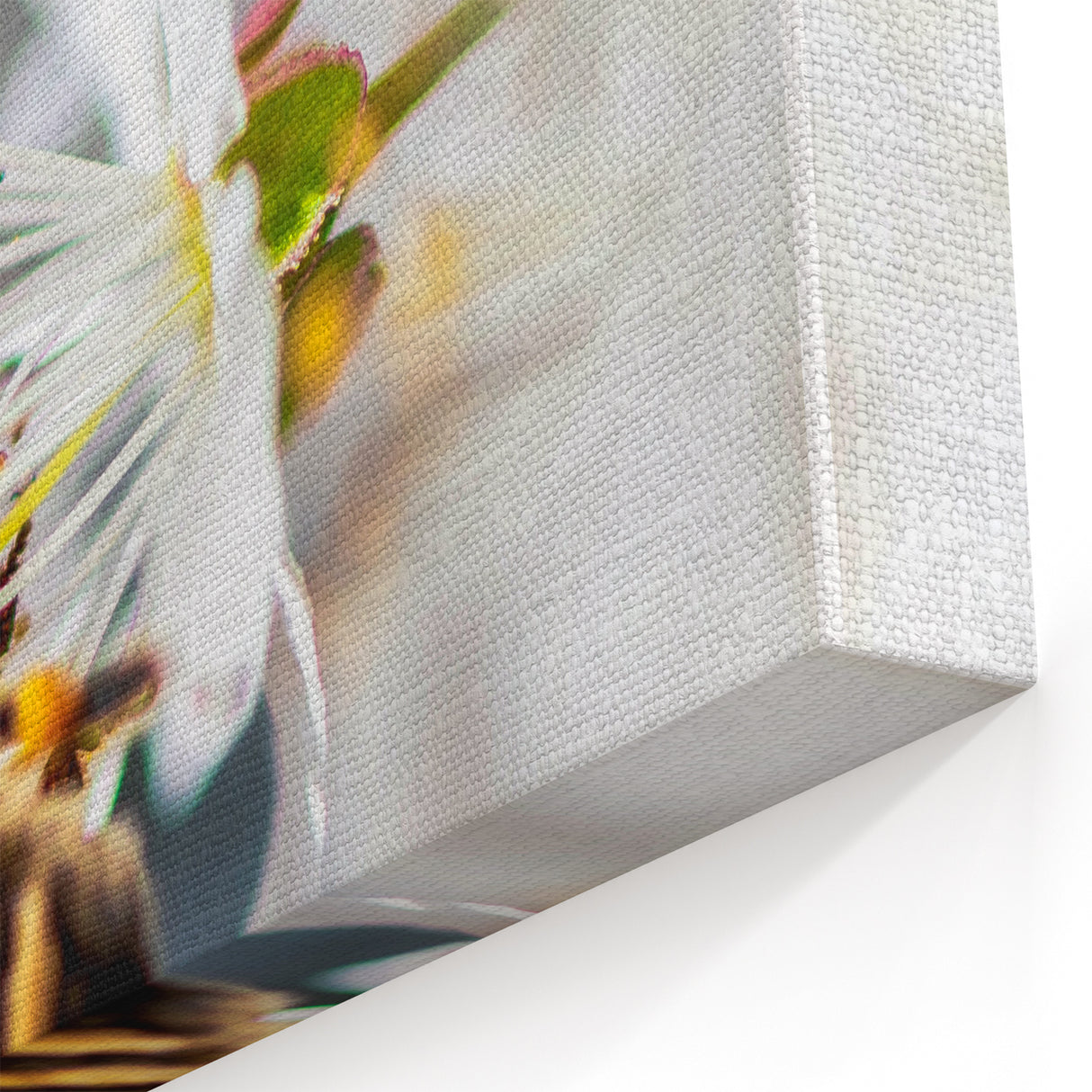 Bee on White Blossom - Spring Wall Art Nature Botanical Canvas