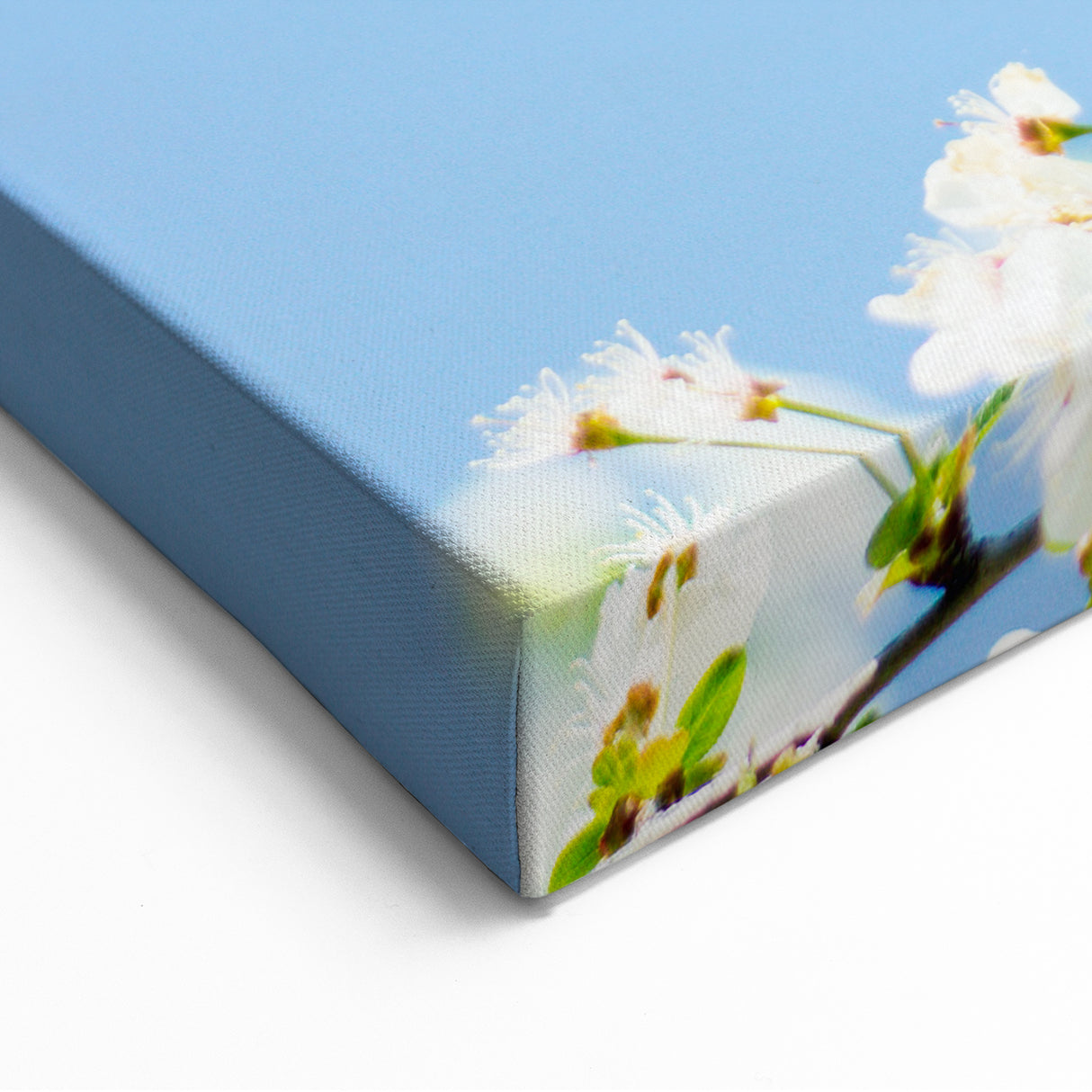 Spring Wall Art – White Blossom Spring Canvas Art for Home Decor