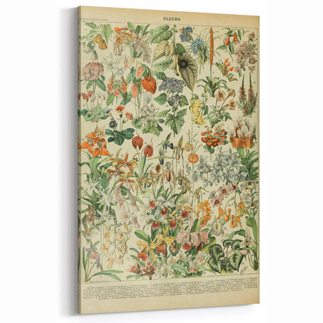 Vintage Botanical Art Prints: Nature-Inspired Floral Wall Art