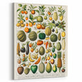 Vintage Botanical Art Prints: Fresh Fruit Illustration Wall Art