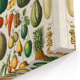 Vintage Botanical Art Prints: Fresh Fruit Illustration Wall Art