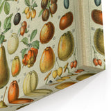 Vintage Botanical Art Prints: Elegant Fruit Illustration Wall Art