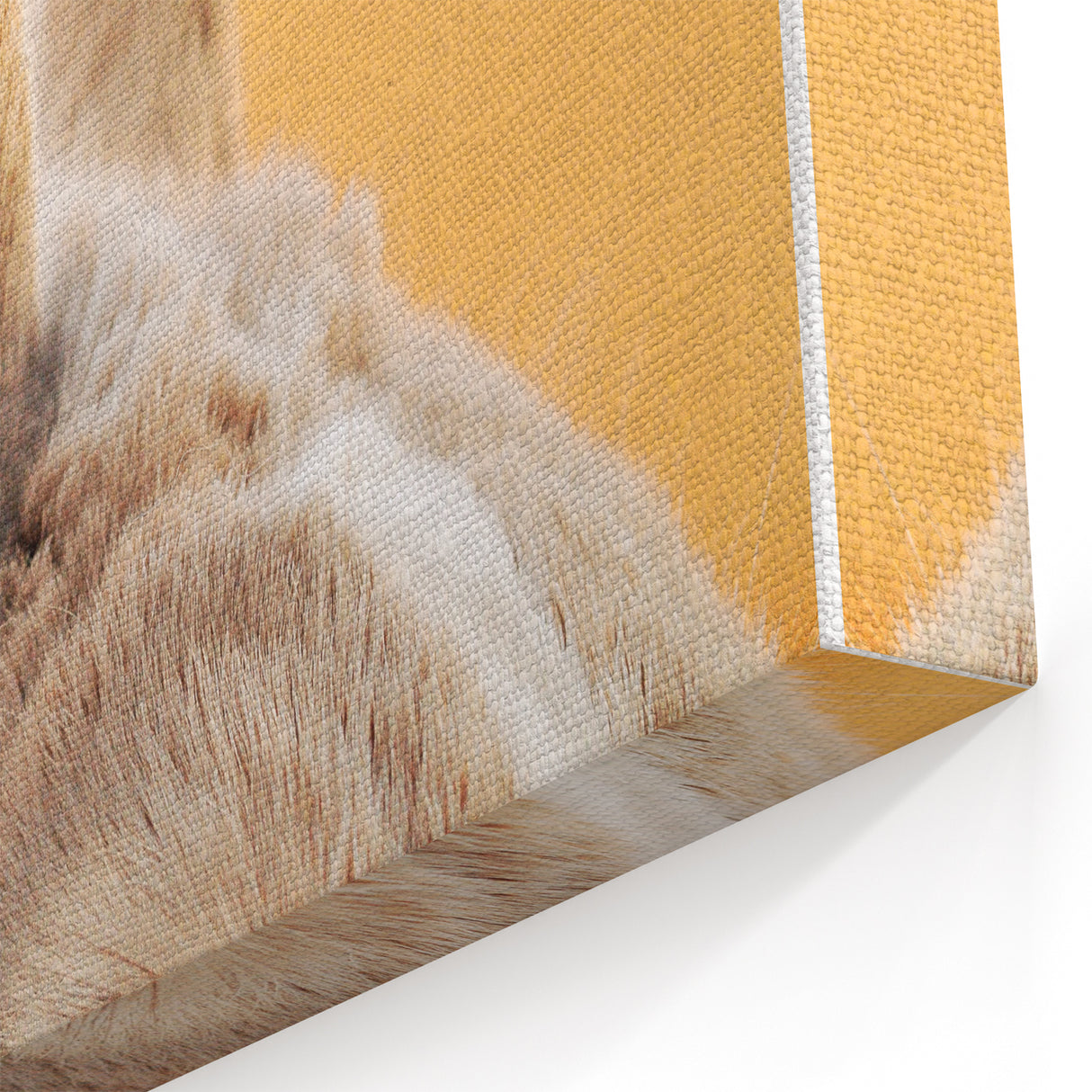 Spring Wall Art – Cute Bunny Close-Up Canvas Print for Home