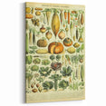 Vintage Botanical Art Prints: Detailed Vegetable Illustration Wall Art