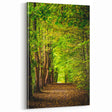 Spring Landscape Wall Art – Tranquil Forest Path Canvas Print