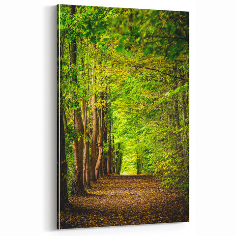 Spring Landscape Wall Art – Tranquil Forest Path Canvas Print