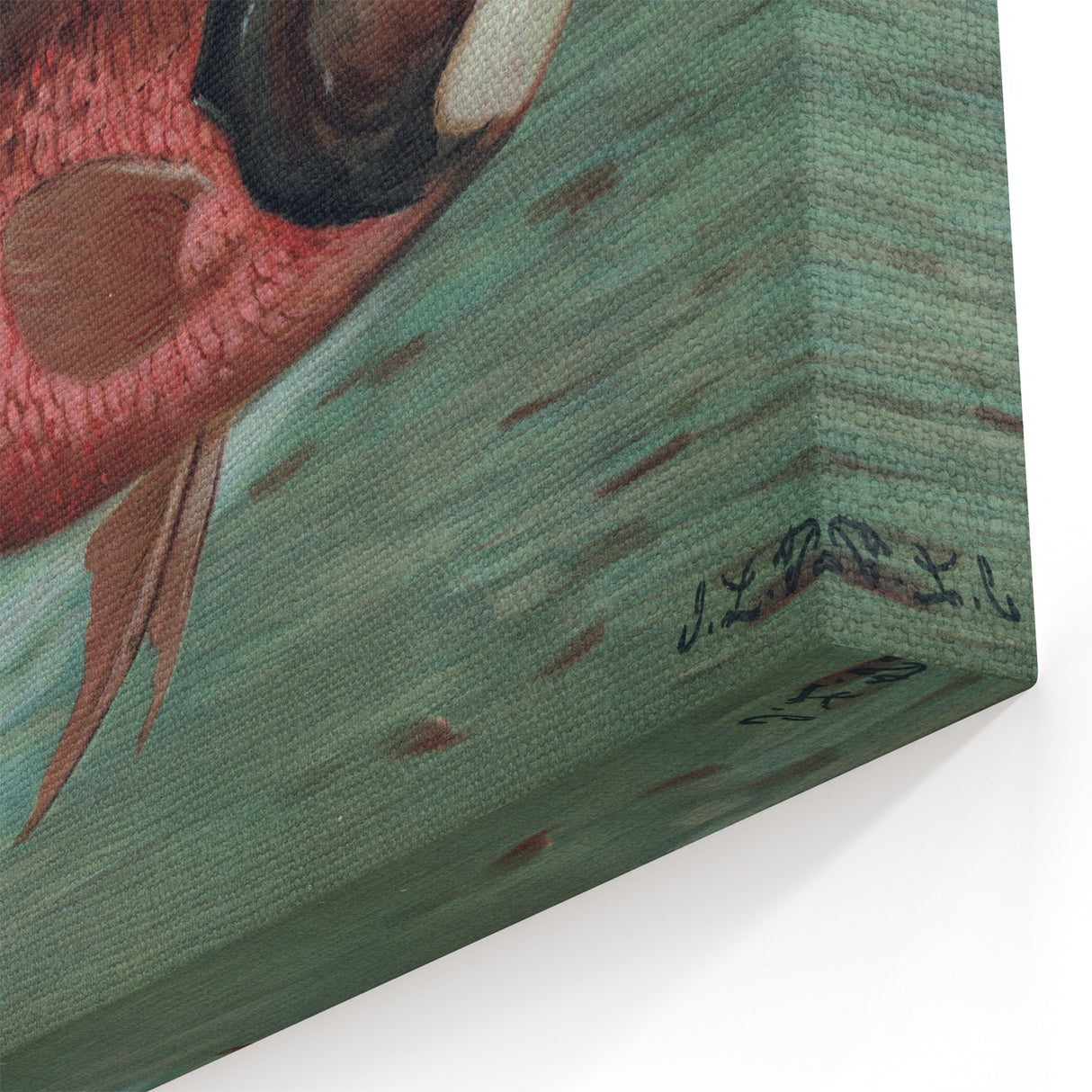 Vintage Animal Art: Fish in Water | Antique Wildlife Prints