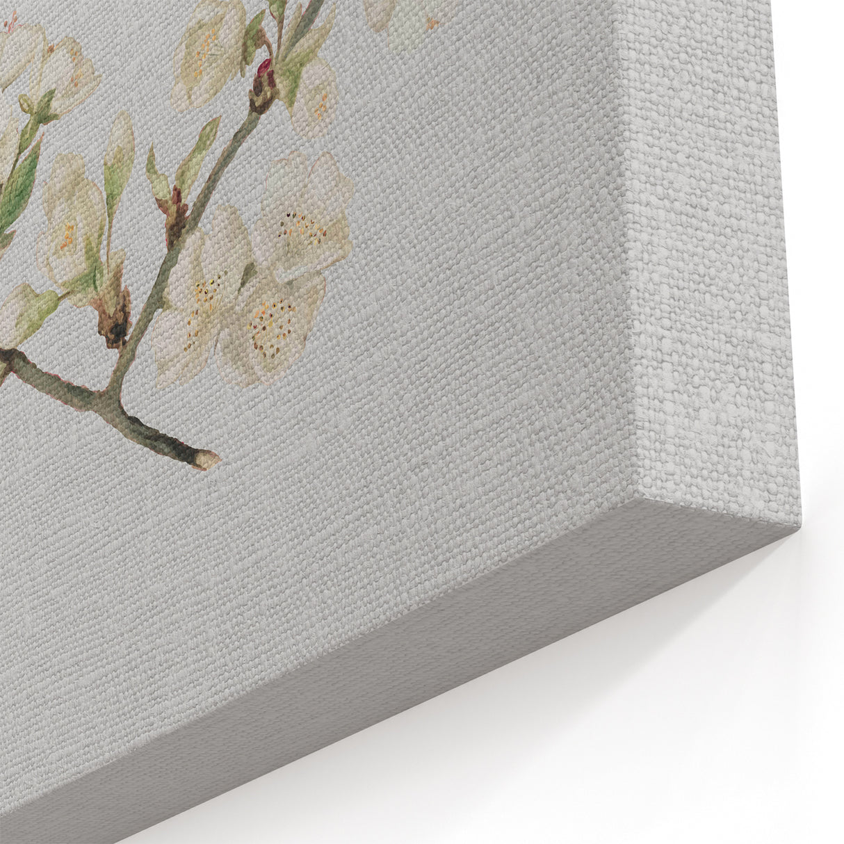 Delicate Cherry Blossom Art Prints: Elegant Floral Wall Art