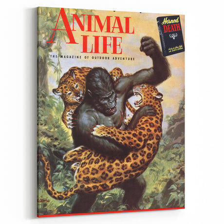 Vintage Magazine Cover Art - Animal Life Retro Prints for Home Decor