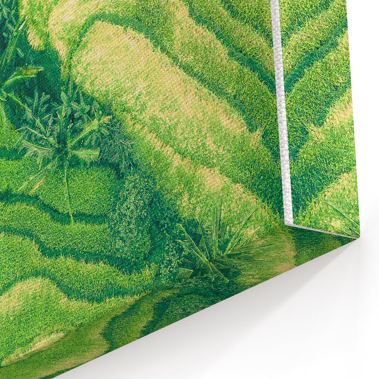 Spring Landscape Wall Art – Lush Green Terraced Fields Canvas
