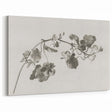 Black and White Botanical Art Prints: Elegant Nasturtium Wall Art