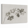 Black and White Botanical Art Prints: Elegant Nasturtium Wall Art