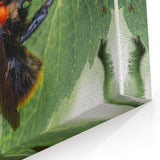 Bumblebee & Blooms - Spring Botanical Wall Art for Nature Lovers