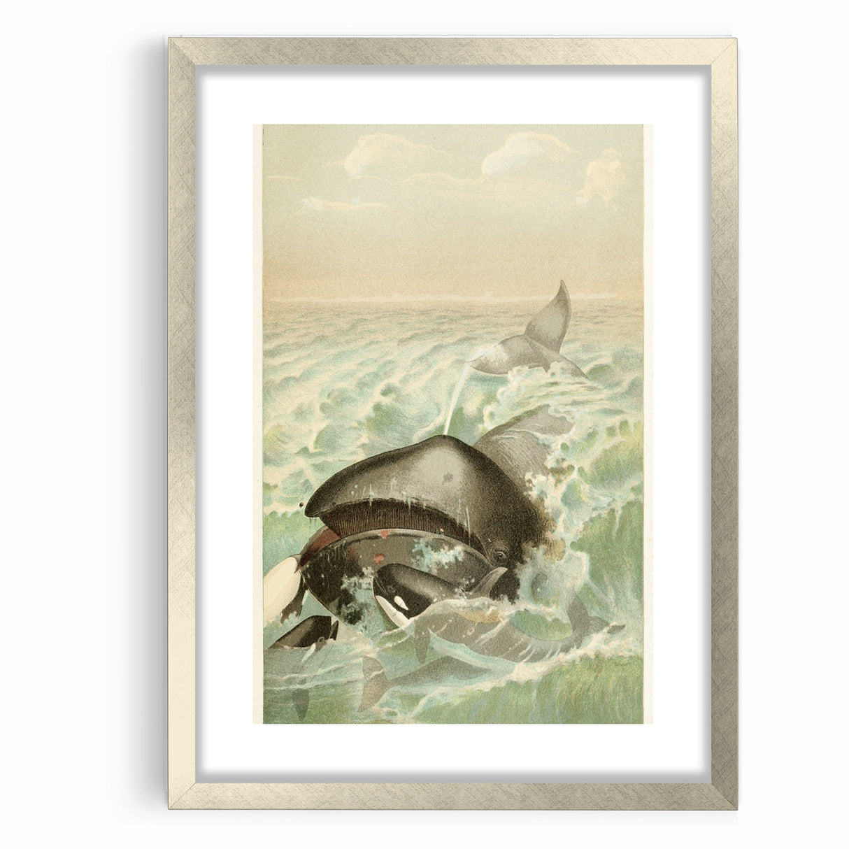 Vintage Animal Art: Whales in Ocean Waves | Antique Wildlife Prints