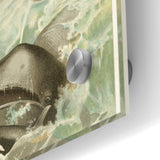 Vintage Animal Art: Whales in Ocean Waves | Antique Wildlife Prints
