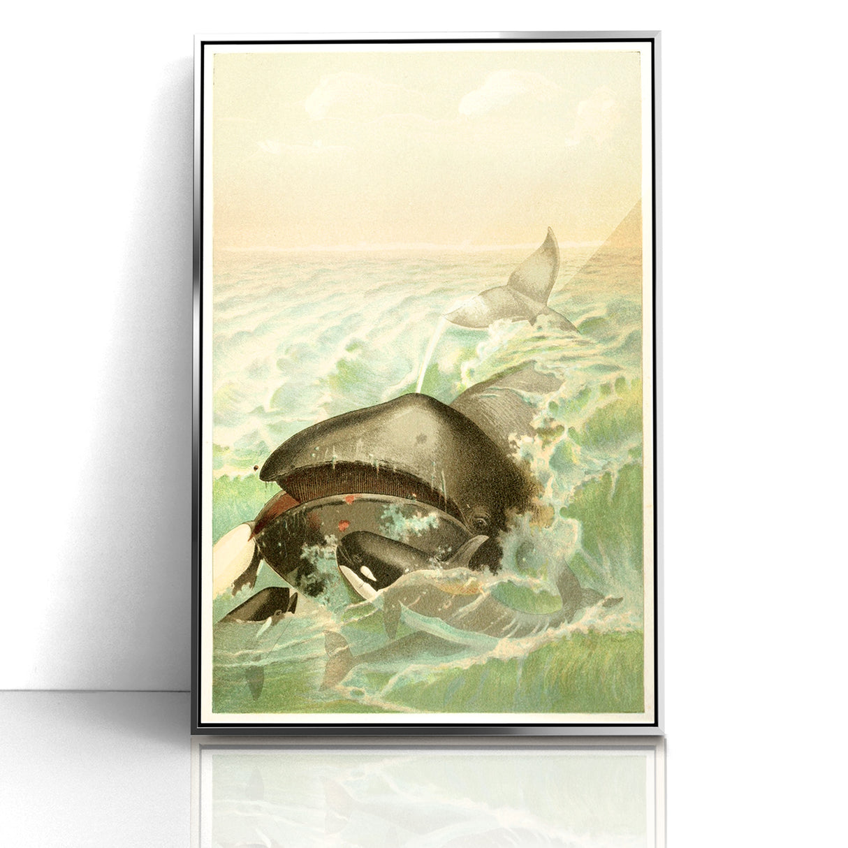 Vintage Animal Art: Whales in Ocean Waves | Antique Wildlife Prints