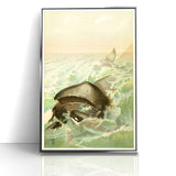 Vintage Animal Art: Whales in Ocean Waves | Antique Wildlife Prints