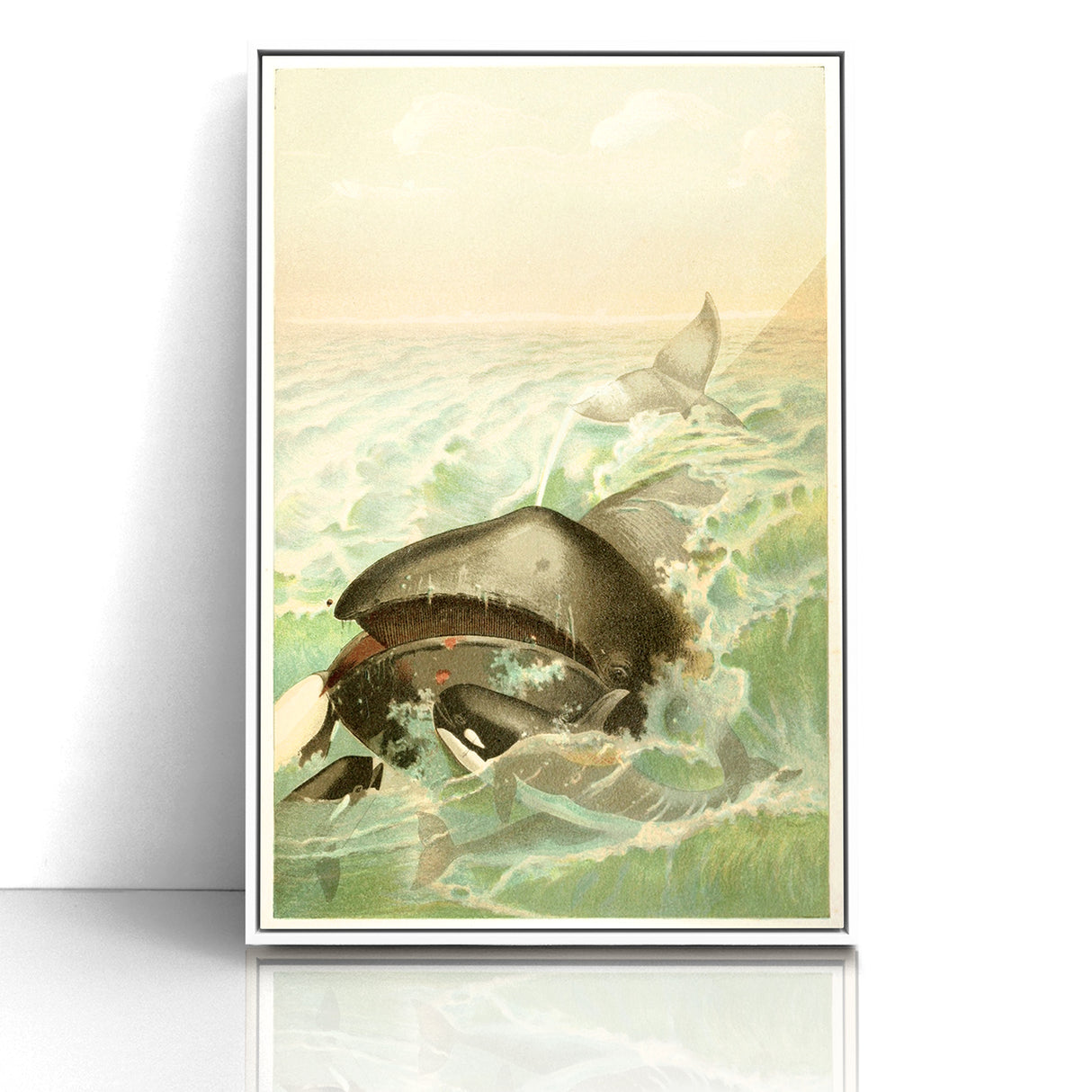 Vintage Animal Art: Whales in Ocean Waves | Antique Wildlife Prints