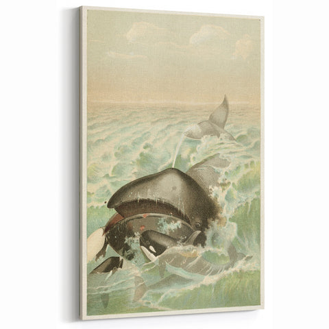 Vintage Animal Art: Whales in Ocean Waves | Antique Wildlife Prints