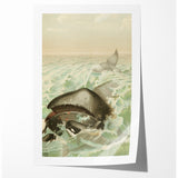 Vintage Animal Art: Whales in Ocean Waves | Antique Wildlife Prints