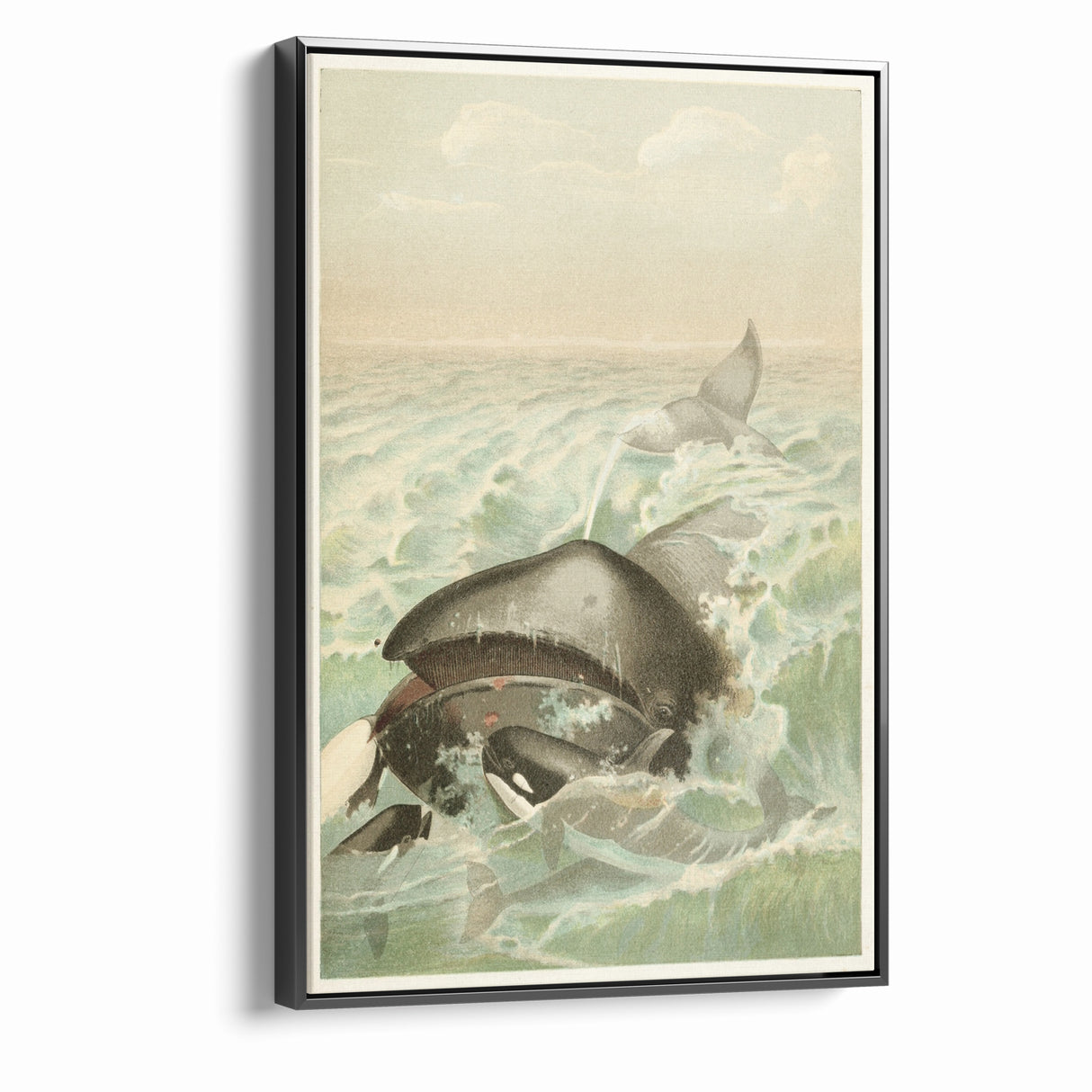 Vintage Animal Art: Whales in Ocean Waves | Antique Wildlife Prints