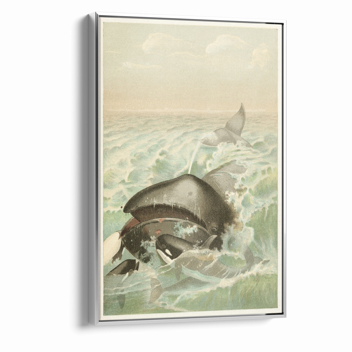 Vintage Animal Art: Whales in Ocean Waves | Antique Wildlife Prints