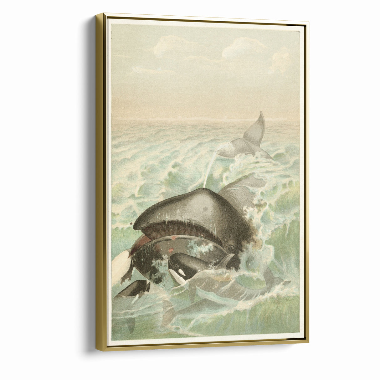 Vintage Animal Art: Whales in Ocean Waves | Antique Wildlife Prints