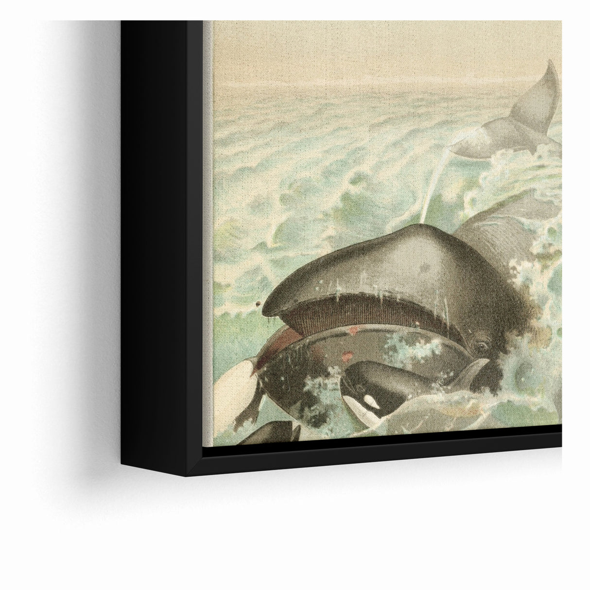 Vintage Animal Art: Whales in Ocean Waves | Antique Wildlife Prints