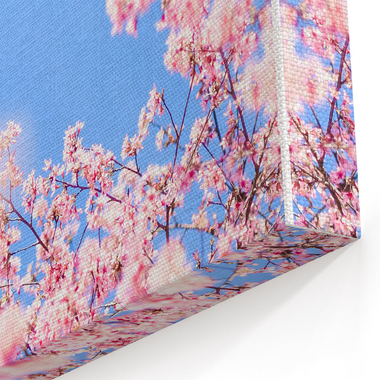 Blossoming Spring - Floral Wall Art with Cherry Blossoms & Sky