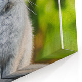 Adorable Spring Bunny - Botanical Wall Art for Cozy Nature Decor