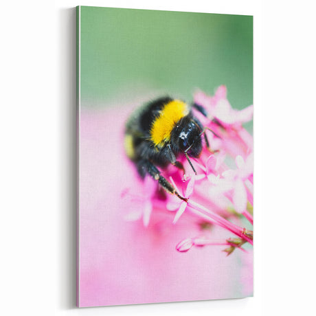 Bumblebee & Pink Blossoms - Botanical Spring Wall Art for Nature