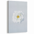 Minimalist White Rose Wall Art – Elegant Spring Floral Print