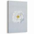 Minimalist White Rose Wall Art – Elegant Spring Floral Print