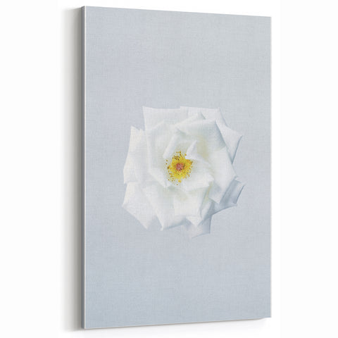 Minimalist White Rose Wall Art – Elegant Spring Floral Print