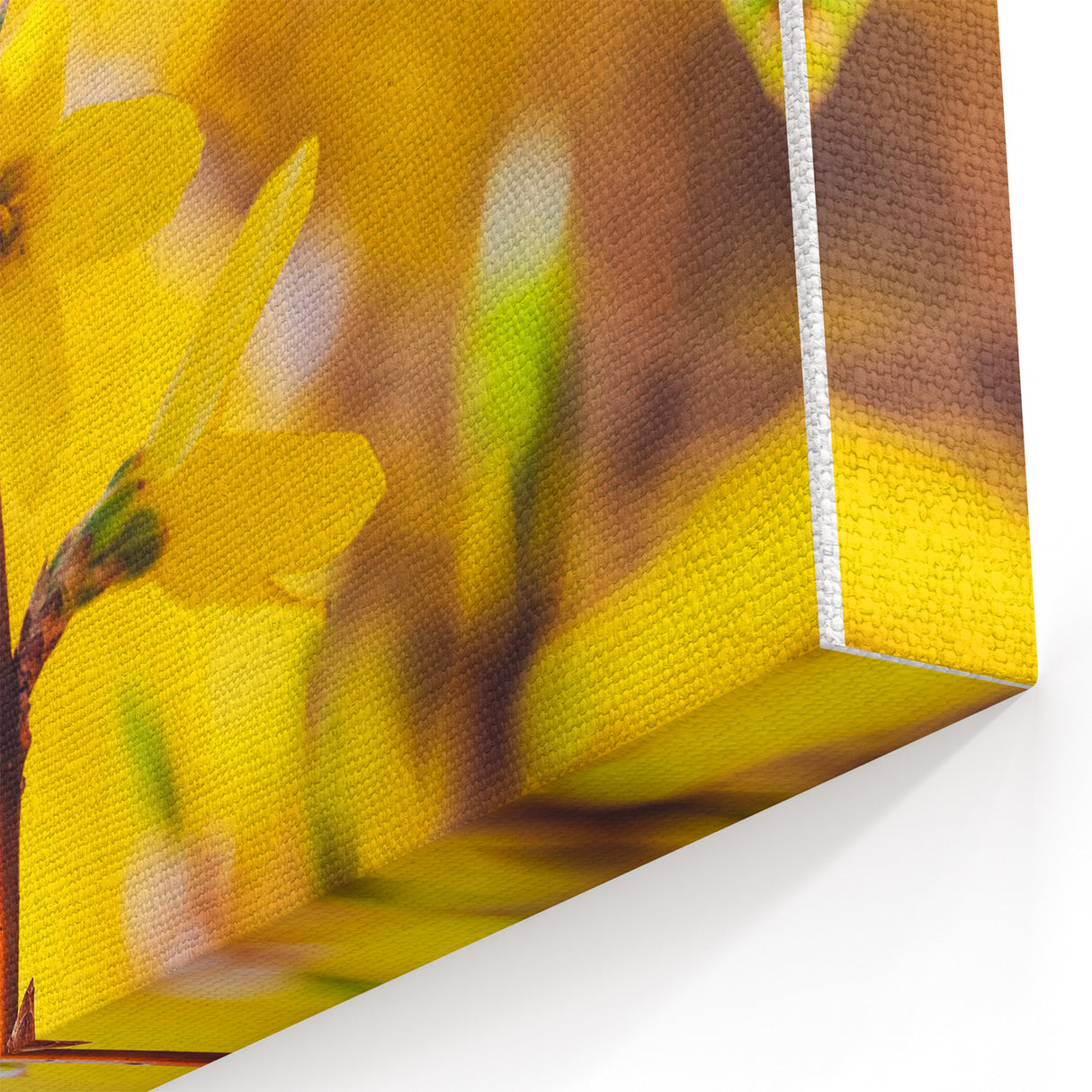 Golden Forsythia Spring Wall Art – Vibrant Floral Canvas Print