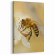 Bee and Blossom Spring Wall Art – Nature-Inspired Canvas Print