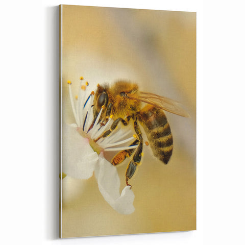 Bee and Blossom Spring Wall Art – Nature-Inspired Canvas Print