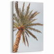 Golden Palm Tree - Summer Wall Art for Tropical Décor