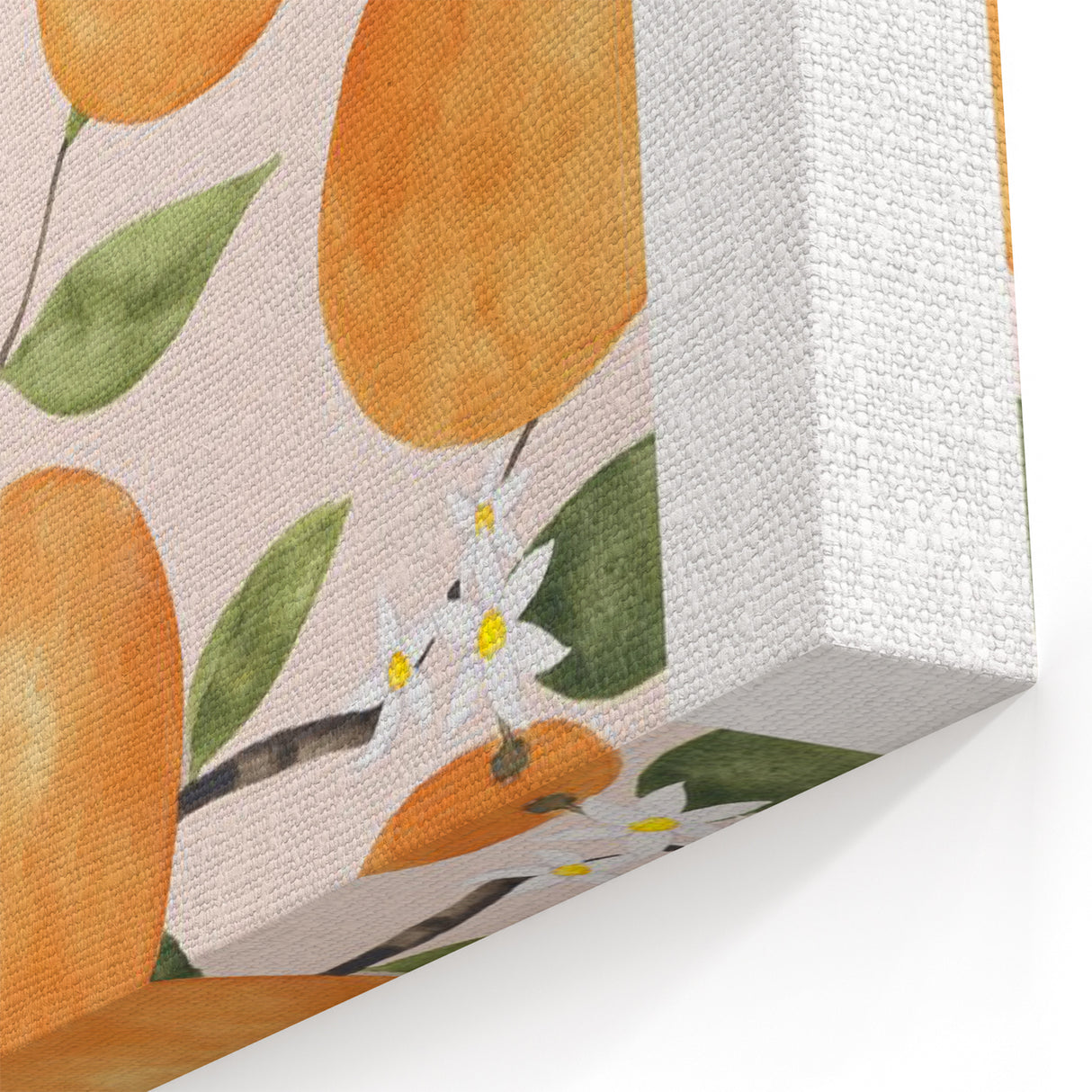 Fruit Wall Decor – Valencia Orange Tree Botanical Print