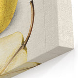 Vintage Pear Botanical Print – Classic Fruit Wall Art