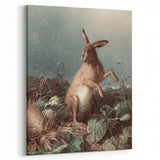 Vintage Animal Art - Hare in the Grass Antique Wildlife Print