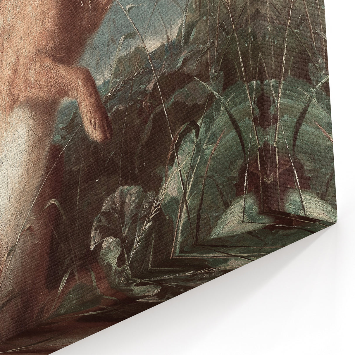 Vintage Animal Art - Hare in the Grass Antique Wildlife Print