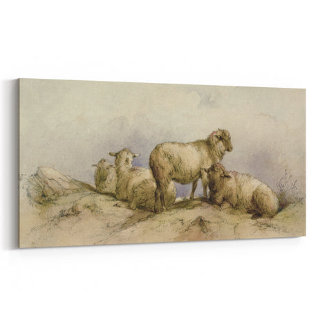 Vintage Animal Art - Sheep in Pastoral Scene Antique Print