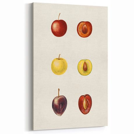 Vintage Fruits Wall Art – Fruit Art Prints for Kitchen Fruit Decor
