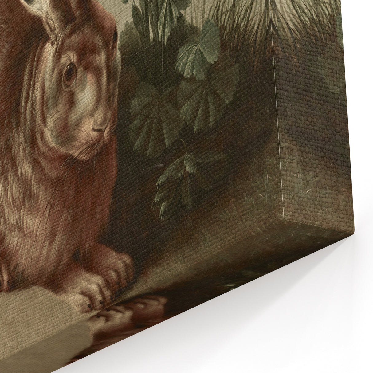 Vintage Animal Art - Rabbit in Nature Antique Wildlife Print