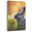 Adorable Spring Wall Art - Gray Rabbit Nature Spring Canvas